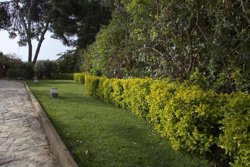 B&B Villa Seta Agrigente Extérieur photo