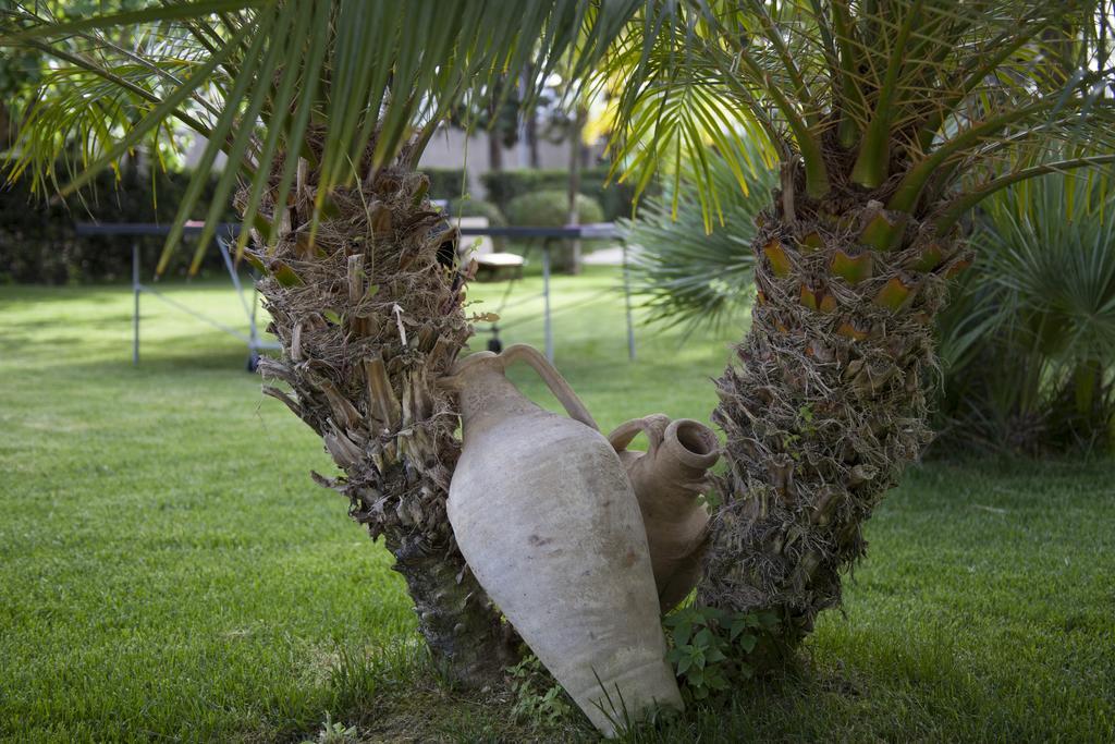 B&B Villa Seta Agrigente Extérieur photo